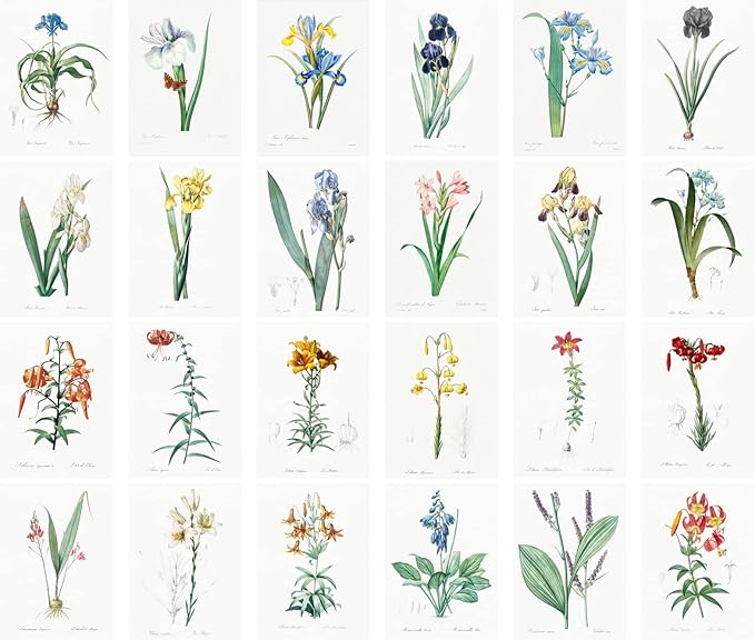 Large Stickers 24 pcs (2.5"x3.5" Each) Iris Lillies Vintage Botannical Books Illustrations by Redoute Retro Postcards Greeting Card Reprint