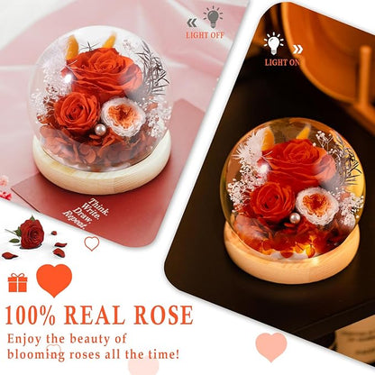 FIACO Preserved Rose Birthday Gift for Women Forever Fresh Flowers for Prime Delivery Gift for Mom Grandma Wife Valentines Mothers Day Christmas Anniversary Eternal Roses in Glass Dome