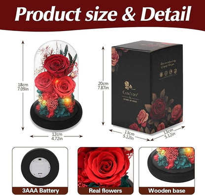 Casaido Preserved Roses Flowers for Delivery, Red Forever Flores in Glass Dome for Women Mom Wife Girlfriend Grandma, Eternal Rose Anniversary Birthday Gift for Mothers Day Valentines Christmas