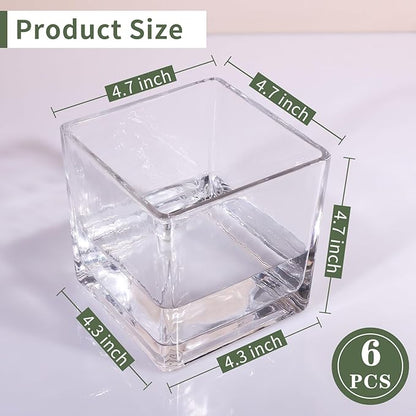 6 Pack Square Glass Vases 5 x 5 x 5 Inch, Clear Cube Flower Vases for Centerpieces, Candle Holders for Wedding Party Home Decor