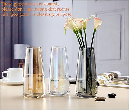 FANTESTICRYAN Modern Glass Vase Irised Crystal Clear Glass Vase for Home Office Decor (Crystal Grey)