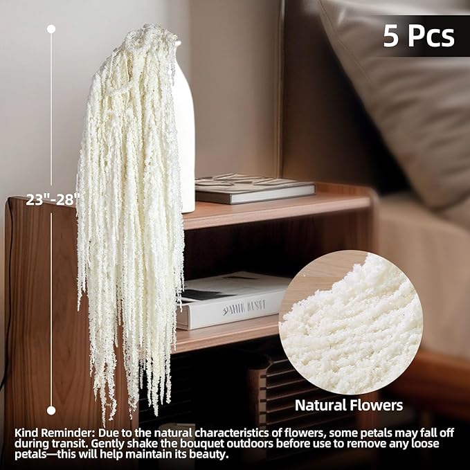 5Pcs Dried Amaranthus Hanging Flowers, Natural Preserved Flower for Wedding Arch, Exhibition, Wall Hanging Lover Tears, Floral Arrangement, Home Decor (White, 24")