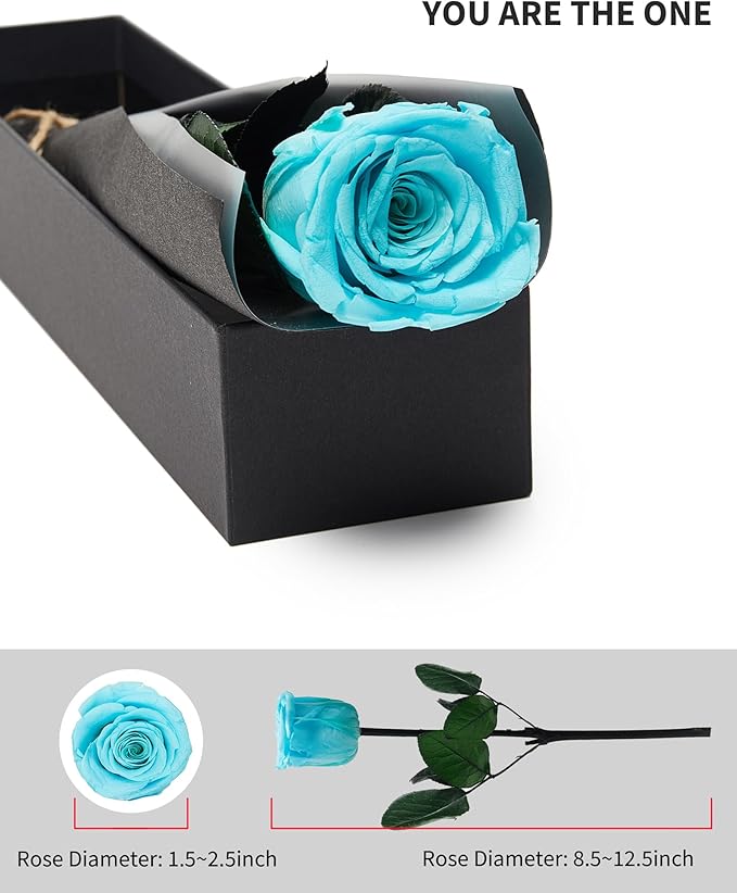 Sky Blue Flowers for Delivery Prime, Preserved Blue Roses Flower Gifts for Women, Real Roses Single Rose Gifts for Her, Mom Birthday Gifts from Daughter, Valentines Flowers