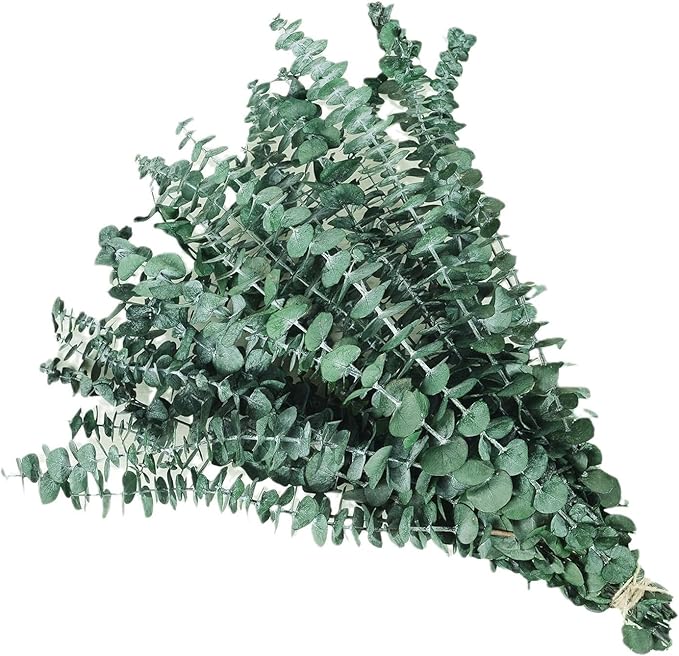 20pcs Dried Eucalyptus Stems - Real Long Eucalyptus, Fall Decorations for Home, 17" Floral Arrangement, Wedding (Green)