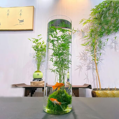 Extra Large Acrylic Cylinder Clear Vase for Floor, Tall Big Wide Mouth Plastic Unbreakable Hurricane Flower Vases of 3 for Home Decor (D 8" X H 19.7", D 6", D 4.8" + 2 Holder)