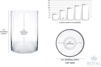 Royal Imports Flower Glass Vase Decorative Centerpiece for Home or Wedding - Cylinder Shape, 8" Tall, 5" Opening, Clear