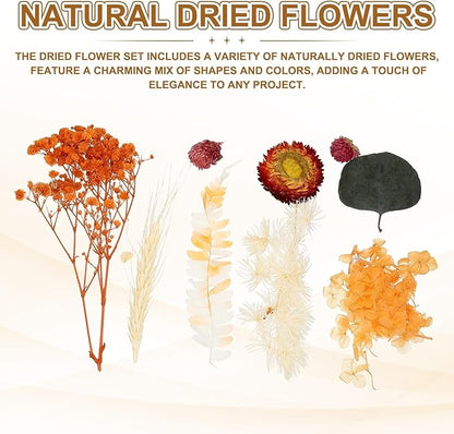 uxcell Natural Dried Flower Set, Dried Pressed Flowers Dry Leaves Bulk Natural Plants Kit Dried Flower Bouquets for Scrapbooking Crafts Resin Jewelry Candle (Orange)