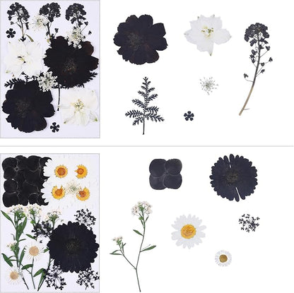 115Pcs Black Dried Pressed Flowers for Crafts,Xinxinran Dry Flowers Kit for Resin Molds,Epoxy Resin Accessories,Bookmark,Nails, Jewelry Molds,Candle Making Supplies,Soap,Frame