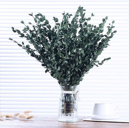Dried Eucalyptus Leaves Preserved Greenery Stems, 8-14 PCS Eucalyptus Garland Branches, 4 OZ Green Leaves Plant Bundle for Wedding Wreath Party Home Decor Vase Filler