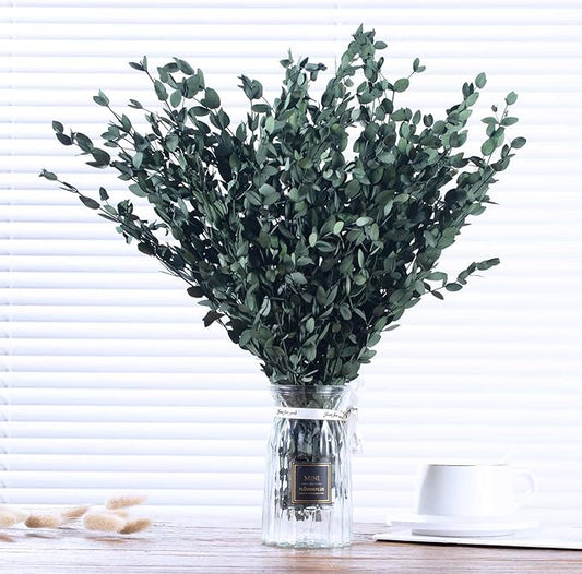 Dried Eucalyptus Leaves Preserved Greenery Stems, 8-14 PCS Eucalyptus Garland Branches, 4 OZ Green Leaves Plant Bundle for Wedding Wreath Party Home Decor Vase Filler