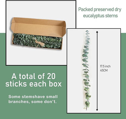(20Pcs) Dried Eucalyptus Stems - Red, Real Long Eucalyptus, Dried Flowers for Vase, 17" Floral Arrangement, Wedding (Blue)