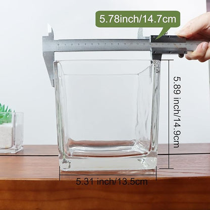 1 Pack Square Glass Vase 6" x 6" x 6", Clear Flower Vase for Centerpieces, Candle Holder for Wedding Party Events, Home Décor