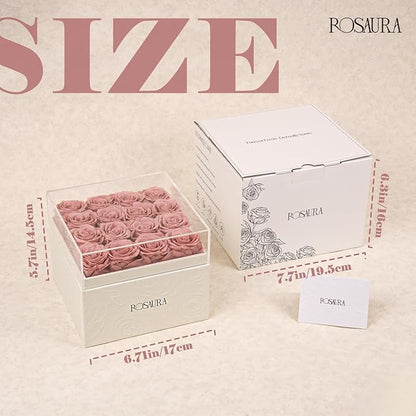 Rosaura Square Preserved Roses Gift Box - Real Forever Flowers in Clear Acrylic Lid, Valentine's for Women (Cappuccino, 16 Roses)
