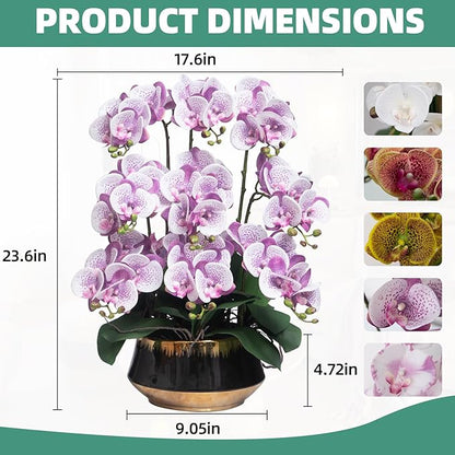 CXGS Orchids Artificial Flower Real Touch Faux Orchid in Large Ceramic Vase Realistic Fake Phalaenopsis Floral Arrangements Centerpiece Table Home Indoor Decor
