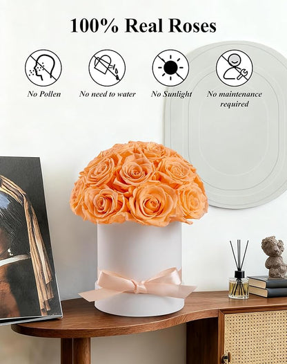 Preserved Roses Dome in a Box, Forever Real Roses Decor, Eternal Flowers for Delivery Prime, Best Gifts Birthday, Wedding, Anniversary, Mother's Day, Christmas for Her, 18-Pieces (Champagne)
