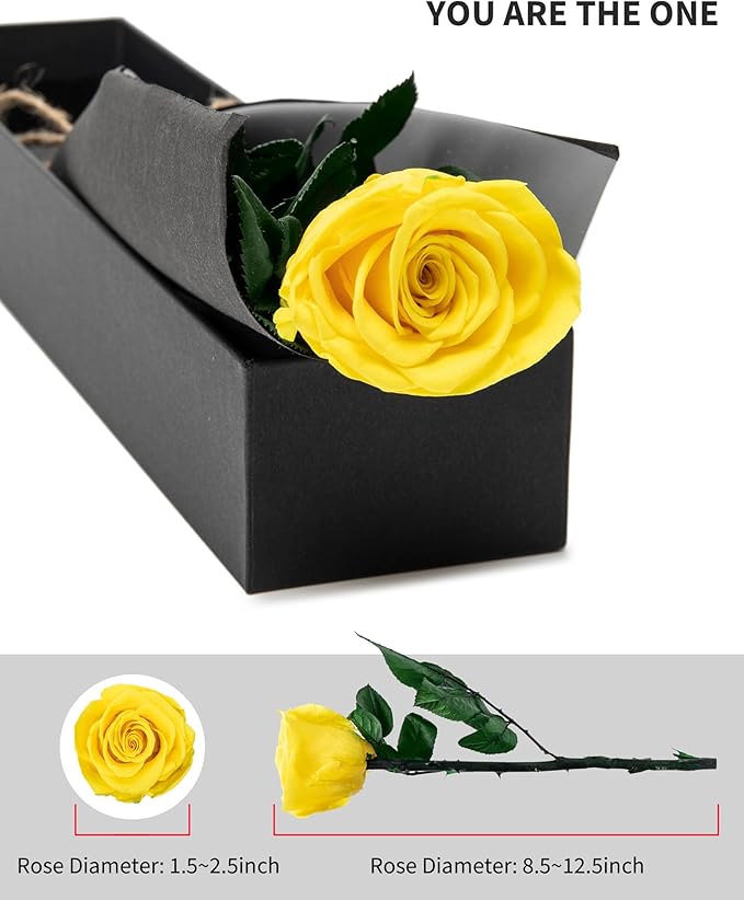Yellow Flowers for Delivery Prime, Preserved Yellow Roses Flower Gifts for Women, Real Roses Single Rose Gifts for Her, Mom Birthday Gifts from Daughter,, Valentines Flowers