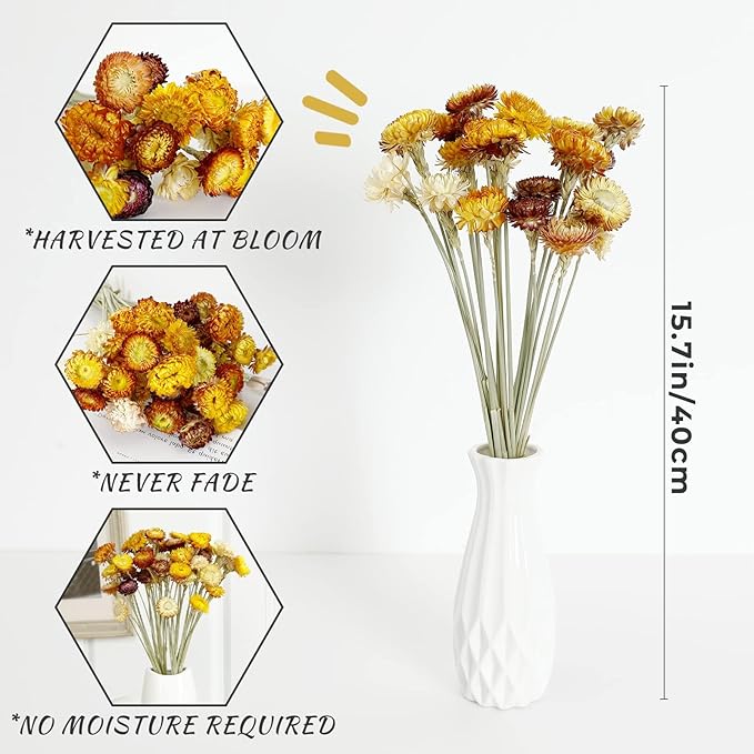 Dried Flower 40PCS Daisy Bouquet 100% Natural Chrysanthemum Dry Flower for Vase Home décor Party DIY Arrangement Wheat Straw Bulk （Multi-Color）