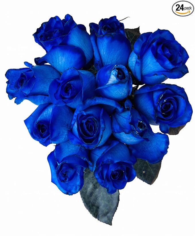 24 Stems - Fresh Cut Blue Roses by Flower Explosion