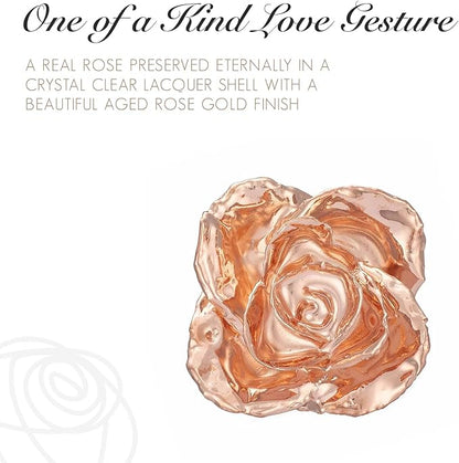 Forever Rose Enchanted Preserved with Real Gold Dipped Rose Lasts Forever | Includes Wood Base & Glass Dome | Rose Gold Roses Assembled by Hand in The USA | Romantic Gifts for Women