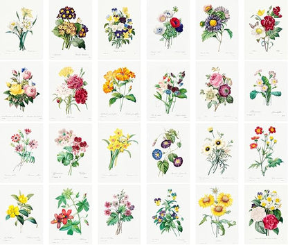 Large Stickers 24 pcs (2.5"x3.5" Each) Flowers Bouquets Wildflowers Vintage Botannical Books Illustrations by Redoute Retro Postcards Greeting Card Reprint