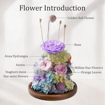Flowers for Delivery - Forever Flowers Rose in Glass Dome with LED Lights, Large Size Preserved Roses Gifts for Women, Mom, Wife, Friend -Birthday, Anniversary, Valentine's Day Gift (Purple+Pink)