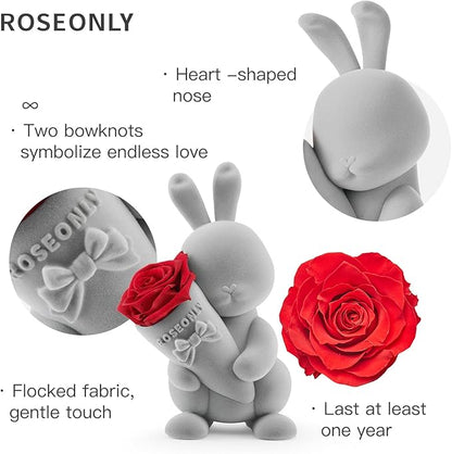 roseonly. Preserved Rose with Sweet Bunny, Eternal Flowers Gifts for Women Girlfriend Wife Mothers Real Roses for Valentine's Day Christmas Birthday Mother's Day Anniversary (Standard)