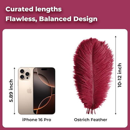 Piokio 20pcs Natural Claret Ostrich Feathers 10-12 inch (25-30cm) Bulk Feathers for Home Decoration and DIY Clothing and DIY Clothes Decoration, Gatsby Decorations