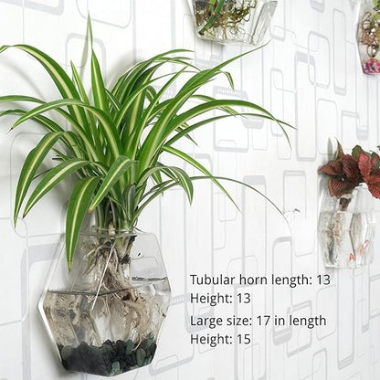 Wall-Mounted Acrylic Planter for Hydroponic Plants – Hexagonal Vase Small, Modern Transparent Design for Home & Office Decoration