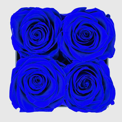 Graceful Fleurs | Real Long Lasting Roses for Years | Preserved Fresh Flowers for Delivery Birthday | Birthday Gifts for Women | Forever Roses in a Box (Blue, Black Box, 4 Roses)