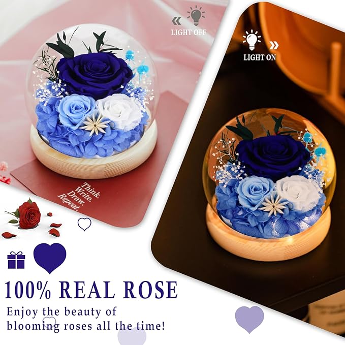 FIACO Preserved Rose Birthday Gift for Women Forever Fresh Flowers for Prime Delivery Gift for Mom Grandma Wife Valentines Mothers Day Christmas Anniversary Eternal Roses in Glass Dome