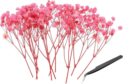 PATIKIL Mini Dried Gypsophila Flower Kit, 30Pcs 4 Inch Light Pink Natural Pressed Floral Bundles with Tweezer for DIY Resin Crafts Gift Wedding Christmas Card Decor Flower Bouquets