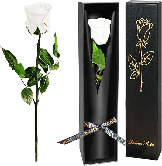 White Single Forever Roses in a Box,Preserved Flowers for Delivery,Preserved Rose Gifts for Women, Real Roses Gift for Her, Mom Birthday Gifts, Mothers Day Flowers,Valentines Flowers