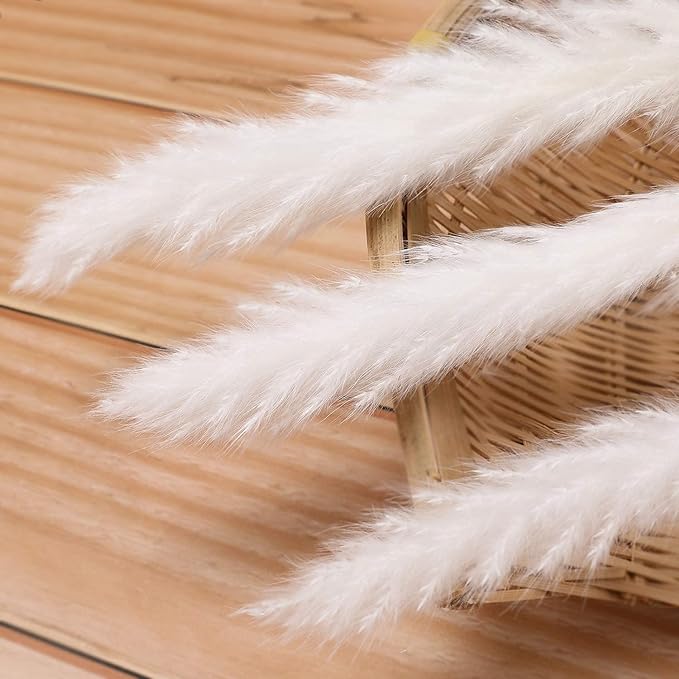 60 Pcs White Pampas Grass ,17 inch/45 cm Natural Dried Pampas Grass Branches Decor for Home Kitchen Garden Party Photographing Flower Arrangement Vase Decor（White