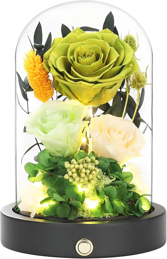 Preserved Flowers in Glass Dome with LED Light, Forever Flowers for Delivery, Eternal Roses Gifts for Women Mom Girlfriend Wife . Valentines Day Mothers Day Anniversary Birthday Gifts For Her(Green)