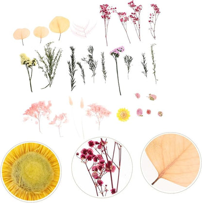 Natural Dried Flowers DIY Craft Kit Real Flower Bouquet Accessories for Photo Frame Making Floral Decorations for Wedding Home Party and Interior Styling