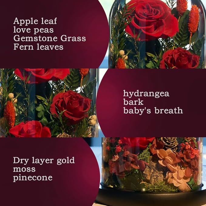 Preserved Roses,Forever Fresh Flowers 7.48in,Gift for Women,Mom,Grandma,Wife,Girlfriend,Sister,and Daughter Perfect for Birthday,Mother’s Day,Valentine’s Day (True Romance1)