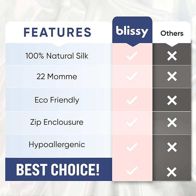 Blissy Silk Pillowcase - 100% Pure Mulberry Silk - 22 Momme 6A High-Grade Fibers - Silk Pillow Cover for Hair & Skin - Regular, Queen & King (Nicole Miller - NY to Paris, Queen)