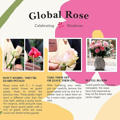 GlobalRose Fresh Cut Assorted Roses - 100 Roses (4 Bundles of 25) Fresh Bouquet for Birthday, Anniversary, Women's Day, or Home Decor - Flowers Delivery Gift