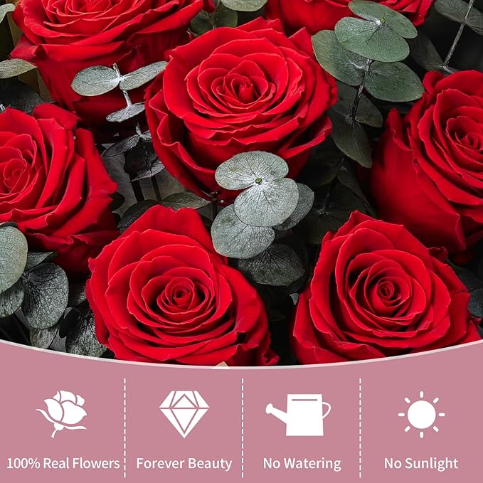 Lewondr Flower for Delivery, Preserved Flowers Bouquet, Red Roses Bouquet, Real Long-Lasting Forever Birthday Flowers Gifts for Her Wife Girlfriend Valentines Day Anniversary Mothers Day, Black-Red