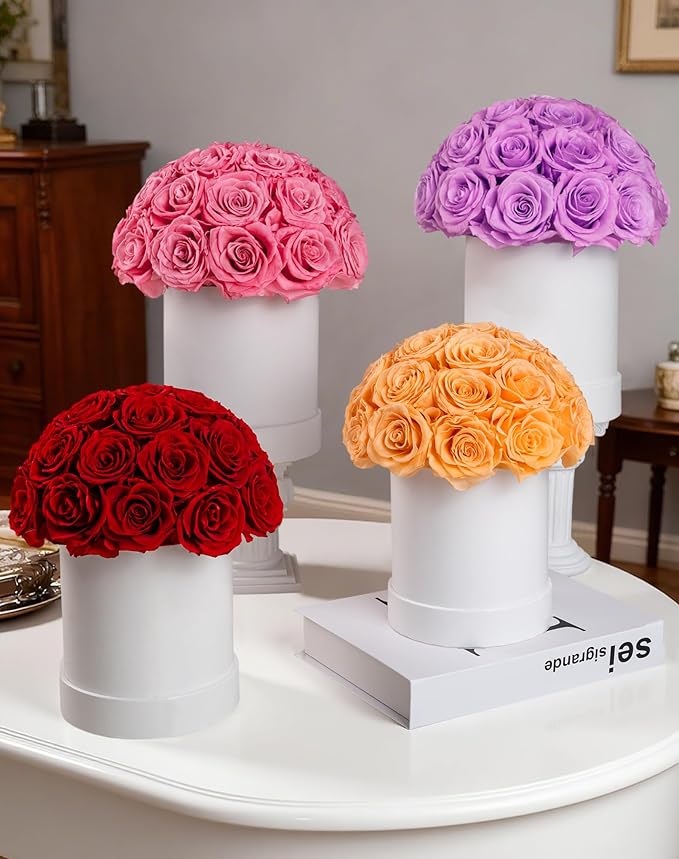 27 Forever Roses Dome in White Box, Eternal Real Roses Gifts for Women, Preserved Flowers for Delivery Prime, Anniversary, Valentine's Day, Christmas, Birthday for Her (Pink)