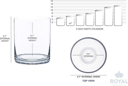 Royal Imports Flower Glass Vase Decorative Centerpiece for Home or Wedding - Cylinder Shape (5" Wide x 6" Tall, Clear)