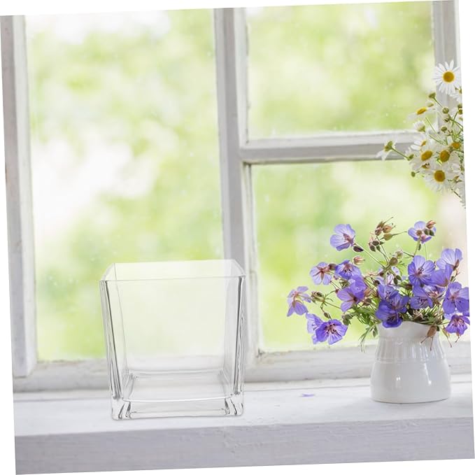 NUOBESTY Clear Thickened Square Glass Vase for Hydroponic Plants Modern Decorative Flower Container Smooth Touch Table Centerpiece for Home and Office