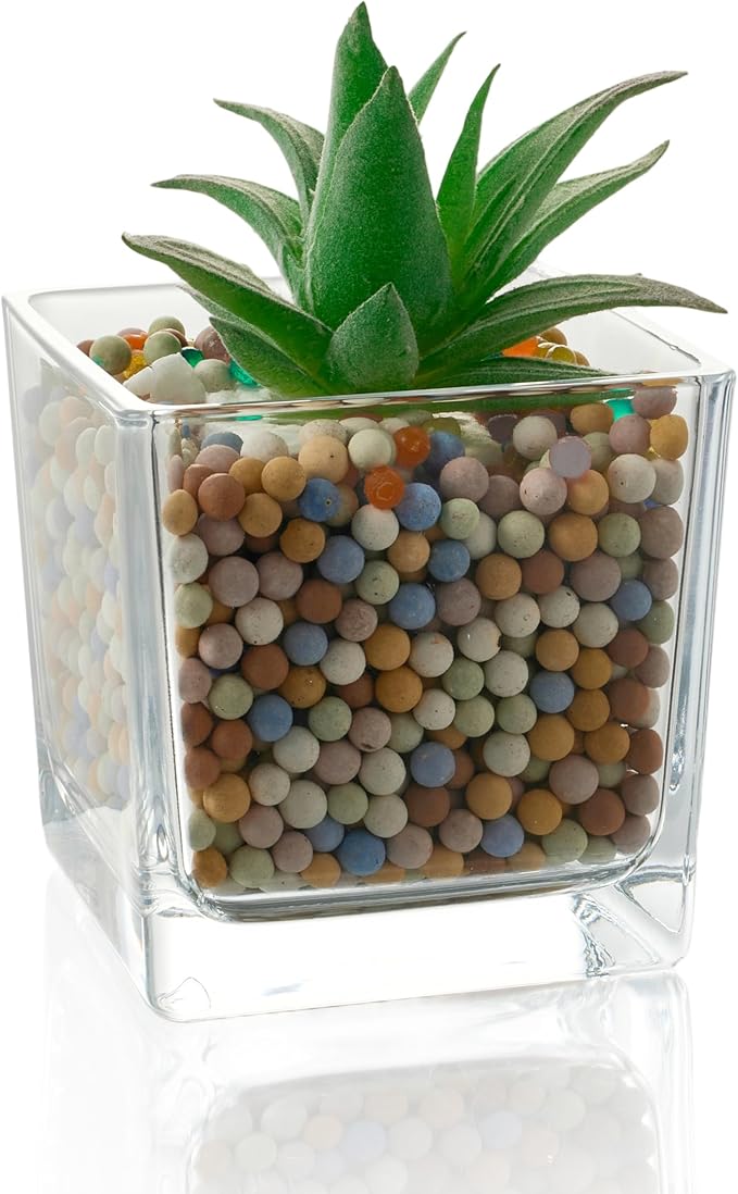 Set of 6 Square Glass Vases for Centerpieces – 5in x 5in x 5in Clear Short Flower Vase, Plant Terrariums, or Candle Holders for Wedding Centerpieces, Office Decor, Home Décor, Parties