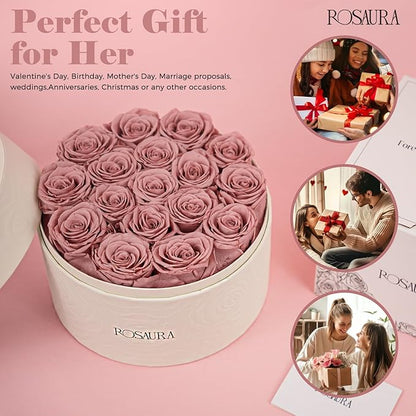Rosaura Round Preserved Roses Gift Box - Real Forever Flowers for Birthday, Valentine's & Mother's Day (Cappuccino, 17 Roses)