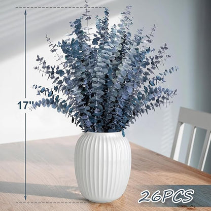 26Pcs Real Dried Eucalyptus Stems, 17" Blue-Green Preserved Eucalyptus Stems for Vase, Home Decor, Farmhouse, Dried Flowers Table Centerpiece Arrangement