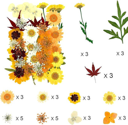 106 Pieces Assorted Real Dried Pressed Flowers Leaves Natural Dry Flower for Resin, Cake Decor,Crafts, Candles, Soap Making, Scrapbook Supplies(Pink,Purple,Yellow,Green)