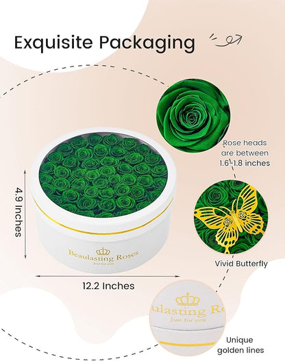 Preserved Roses Forever Flowers Real Roses in a Box Mother's Day Birthday Flowers for Her Mom Women Wife Valentine's Day, Green, 47 Piece