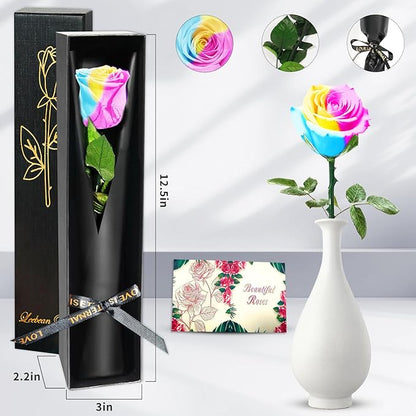 Single Forever Roses in a Box,Preserved Flowers for Delivery,Preserved Rose Gifts for Women,Real Roses Gifts for Her,Mom Birthday Mothers Day Valentines Flowers,Rainbow