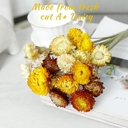Dried Flower 40PCS Daisy Bouquet 100% Natural Chrysanthemum Dry Flower for Vase Home décor Party DIY Arrangement Wheat Straw Bulk （Multi-Color）