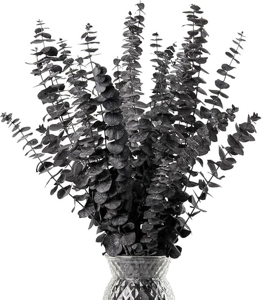Black Eucalyptus Stems Decor,20PCS 17" Real Dried Preserved Eucalyptus Stems Plant for Home Vase Wedding Festival Floral Fall Halloween Arrangement Decorations